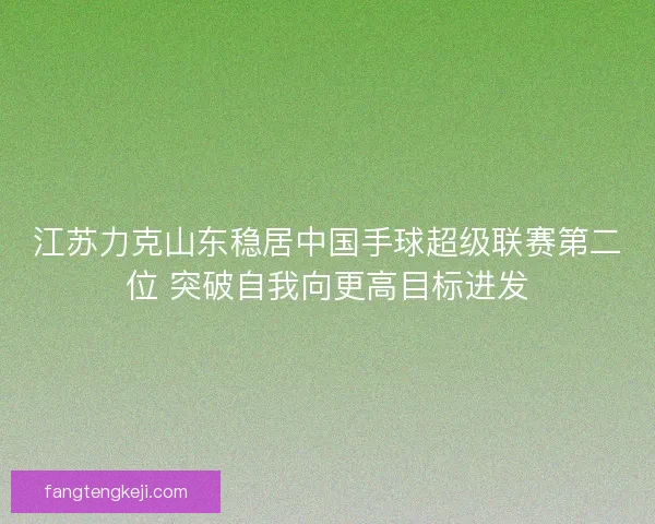 江苏力克山东稳居中国手球超级联赛第二位 突破自我向更高目标进发