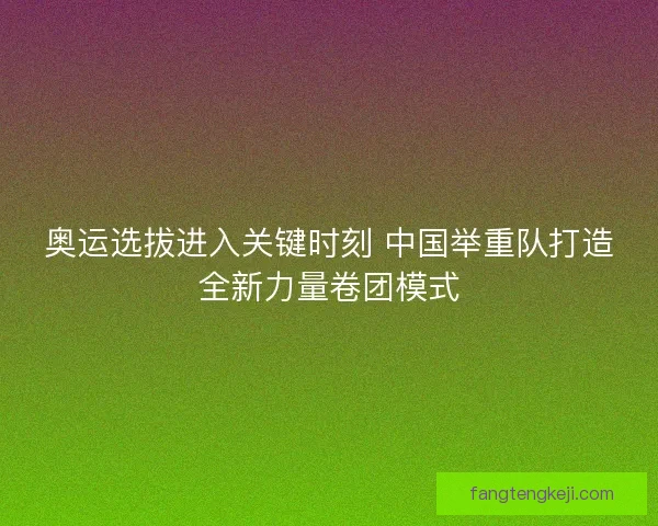 奥运选拔进入关键时刻 中国举重队打造全新力量卷团模式