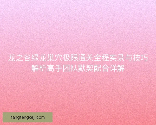 龙之谷绿龙巢穴极限通关全程实录与技巧解析高手团队默契配合详解
