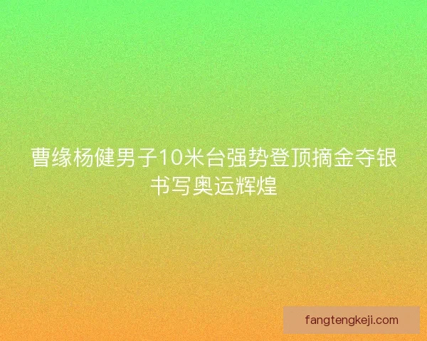 曹缘杨健男子10米台强势登顶摘金夺银书写奥运辉煌